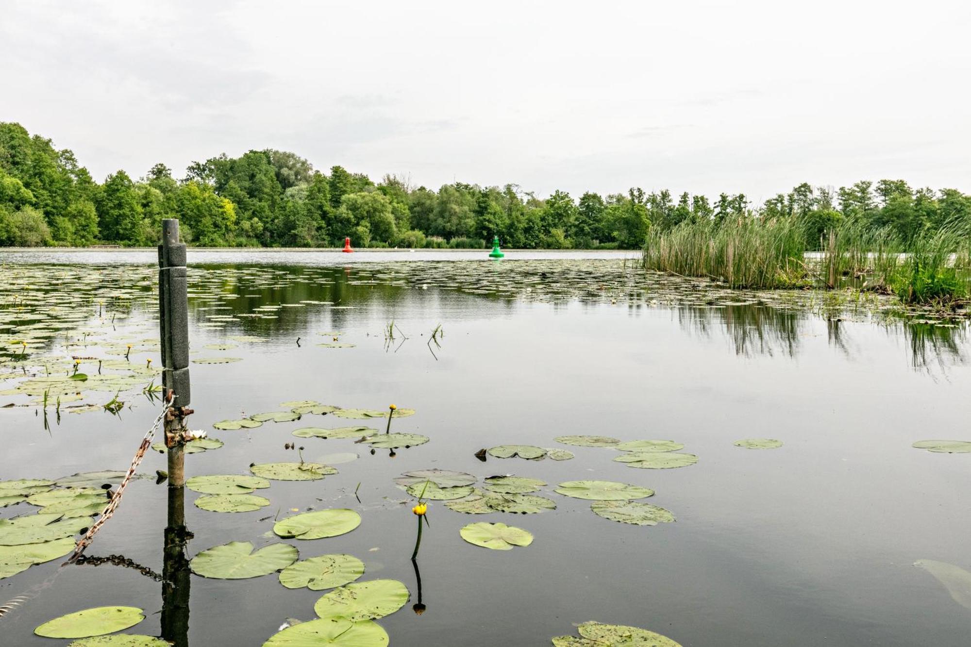 הוילה Königs Wusterhausen Haus Am See מראה חיצוני תמונה