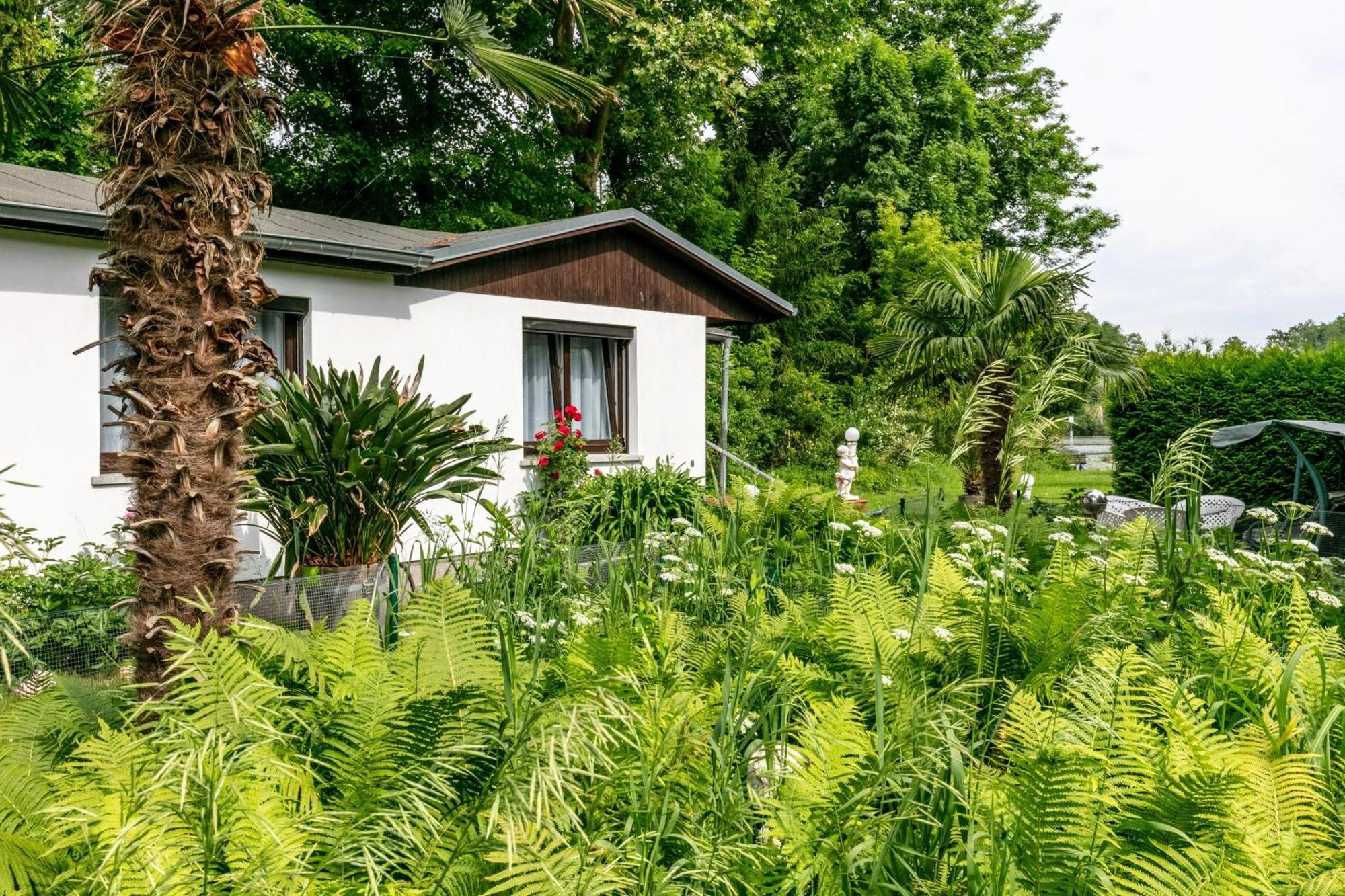 הוילה Königs Wusterhausen Haus Am See מראה חיצוני תמונה